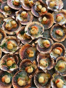 Close-up de nombreuses coquilles Saint-Jacques grillées, garnies de persil frais et de beurre fondu, prêtes à déguster.