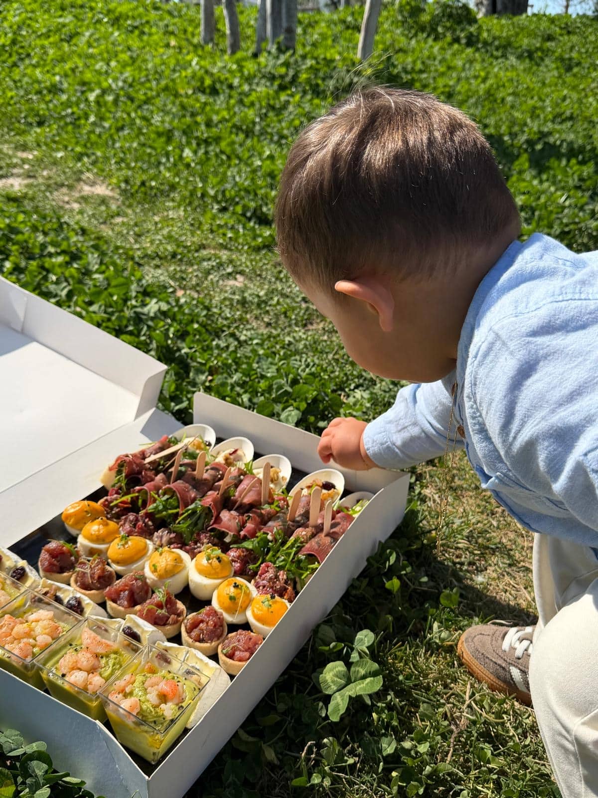 Enfant tendant la main vers un plateau de bouchées apéritives gourmandes lors d'un pique-nique ensoleillé.